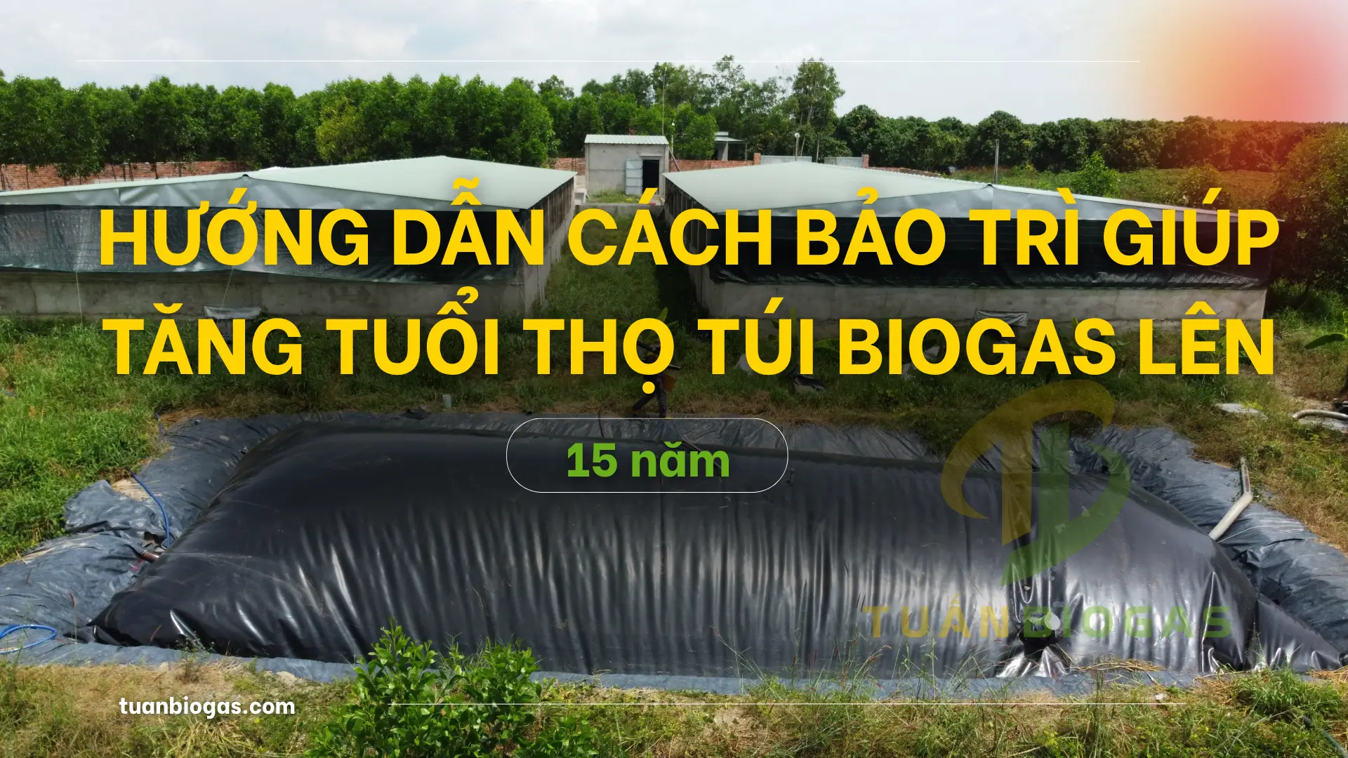 Túi Biogas Dùng Được Bao Nhiêu Năm? Hướng Dẫn Cách Bảo Trì Giúp Tăng Tuổi Thọ Lên 15 Năm